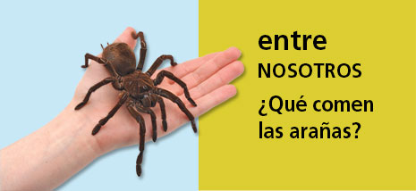 Correo del Maestro entre nosotros